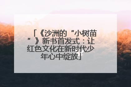 《沙洲的“小树苗”》新书首发式：让红色文化在新时代少年心中绽放