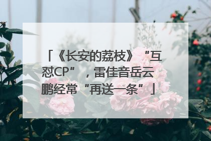 《长安的荔枝》“互怼CP”，雷佳音岳云鹏经常“再送一条”