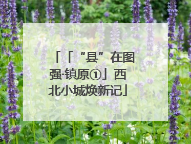 「“县”在图强·镇原①」西北小城焕新记