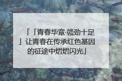 「青春华章·赣劲十足」让青春在传承红色基因的征途中熠熠闪光