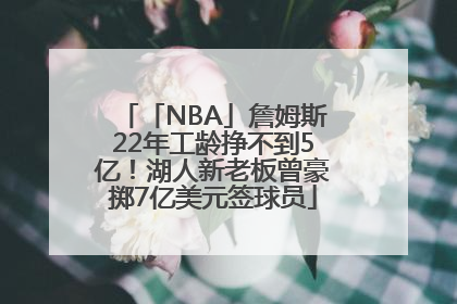 「NBA」詹姆斯22年工龄挣不到5亿！湖人新老板曾豪掷7亿美元签球员