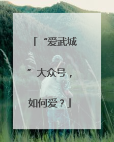 “爱武城”大众号，如何爱？