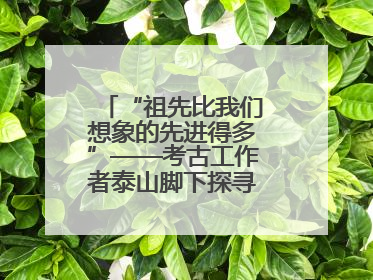 “祖先比我们想象的先进得多”——考古工作者泰山脚下探寻中华文明起源