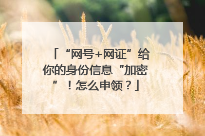 “网号+网证”给你的身份信息“加密”！怎么申领？