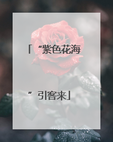 “紫色花海”引客来