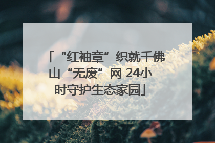 “红袖章”织就千佛山“无废”网 24小时守护生态家园
