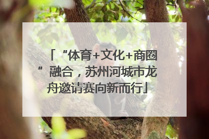 “体育+文化+商圈”融合，苏州河城市龙舟邀请赛向新而行