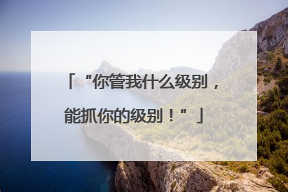 “你管我什么级别，能抓你的级别！”