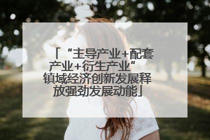 “主导产业+配套产业+衍生产业” 镇域经济创新发展释放强劲发展动能