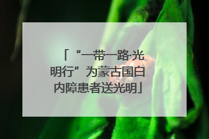 “一带一路·光明行”为蒙古国白内障患者送光明
