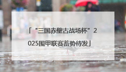 “三国赤壁古战场杯”2025围甲联赛蓄势待发