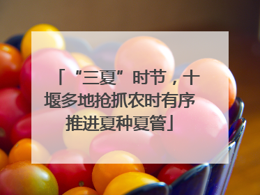 “三夏”时节，十堰多地抢抓农时有序推进夏种夏管