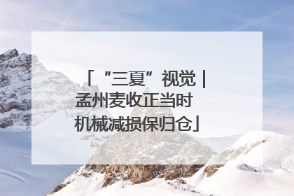 “三夏”视觉｜孟州麦收正当时 机械减损保归仓