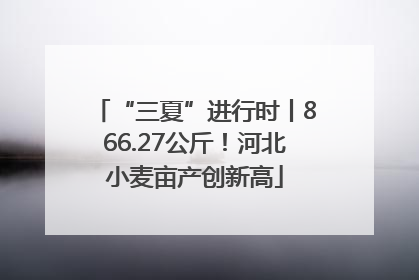 “三夏”进行时丨866.27公斤！河北小麦亩产创新高