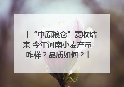 “中原粮仓”麦收结束 今年河南小麦产量咋样？品质如何？