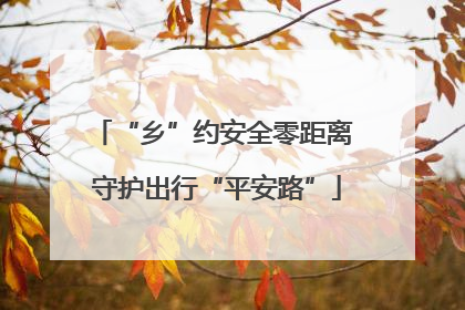 “乡”约安全零距离 守护出行“平安路”