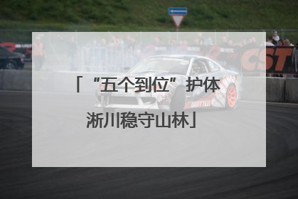 “五个到位”护体 淅川稳守山林