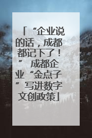 “企业说的话，成都都记下了！” 成都企业“金点子”写进数字文创政策
