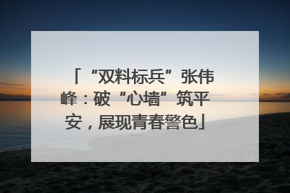 “双料标兵”张伟峰：破“心墙”筑平安，展现青春警色