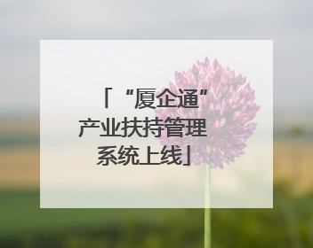 “厦企通”产业扶持管理系统上线