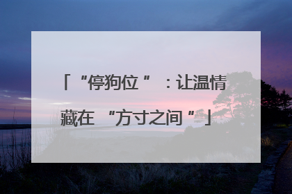 “停狗位 ”：让温情藏在 “方寸之间 ”