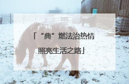 “典”燃法治热情 照亮生活之路
