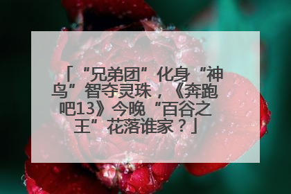 “兄弟团”化身“神鸟”智夺灵珠，《奔跑吧13》今晚“百谷之王”花落谁家？