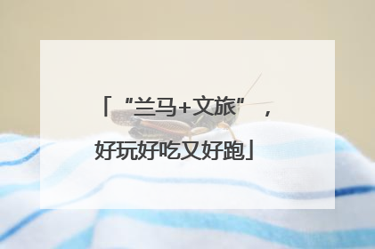 “兰马+文旅”，好玩好吃又好跑