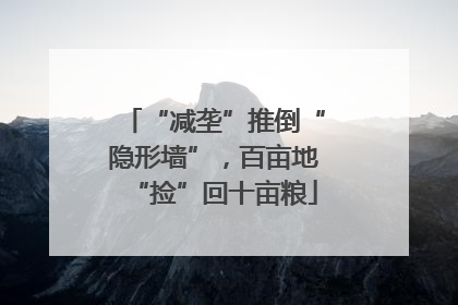 “减垄”推倒“隐形墙”，百亩地“捡”回十亩粮