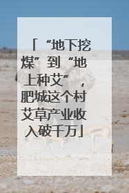 “地下挖煤”到“地上种艾”，肥城这个村艾草产业收入破千万