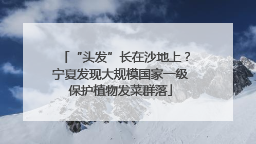 “头发”长在沙地上？宁夏发现大规模国家一级保护植物发菜群落