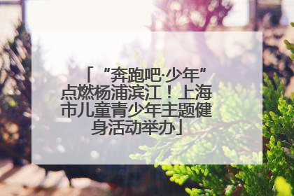 “奔跑吧·少年”点燃杨浦滨江！上海市儿童青少年主题健身活动举办