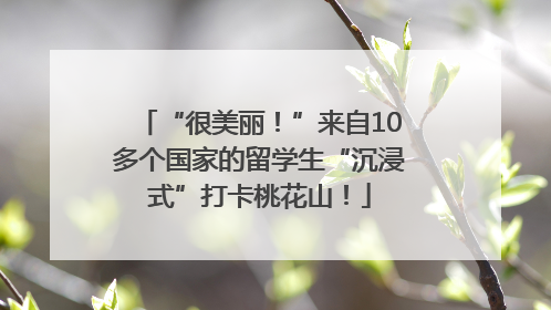 “很美丽！”来自10多个国家的留学生“沉浸式”打卡桃花山！