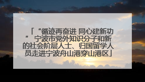 “循迹再奋进 同心建新功” 宁波市党外知识分子和新的社会阶层人士、归国留学人员走进宁波舟山港穿山港区