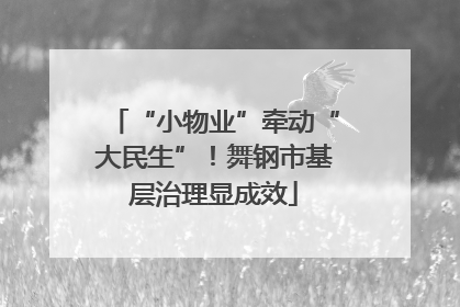 “小物业”牵动“大民生”！舞钢市基层治理显成效
