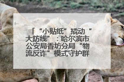 “小贴纸”撬动“大防线”：哈尔滨市公安局香坊分局“物流反诈”模式守护群众“钱袋子”