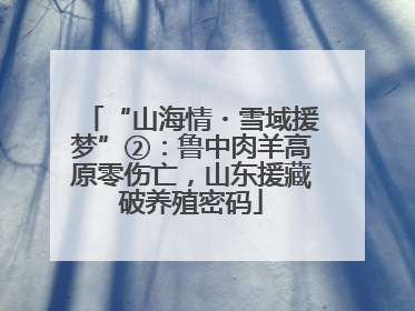 “山海情・雪域援梦”②：鲁中肉羊高原零伤亡，山东援藏破养殖密码