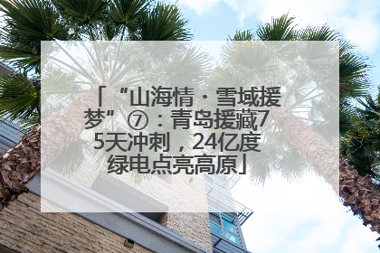 “山海情・雪域援梦”⑦：青岛援藏75天冲刺，24亿度绿电点亮高原