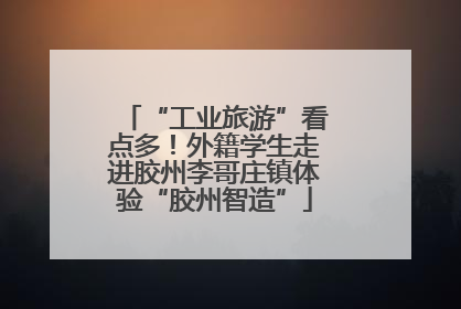 “工业旅游”看点多！外籍学生走进胶州李哥庄镇体验“胶州智造”
