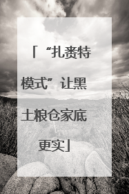 “扎赉特模式”让黑土粮仓家底更实