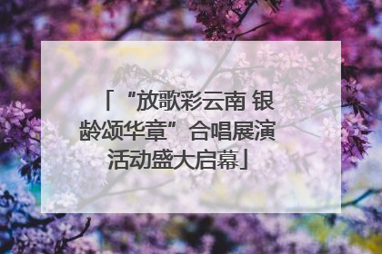 “放歌彩云南 银龄颂华章”合唱展演活动盛大启幕