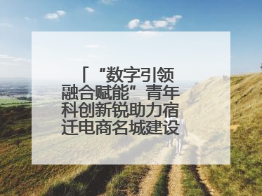 “数字引领 融合赋能”青年科创新锐助力宿迁电商名城建设活动成功举办
