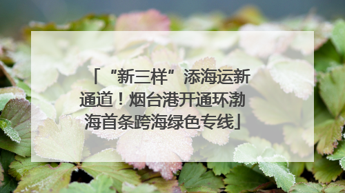 “新三样”添海运新通道！烟台港开通环渤海首条跨海绿色专线