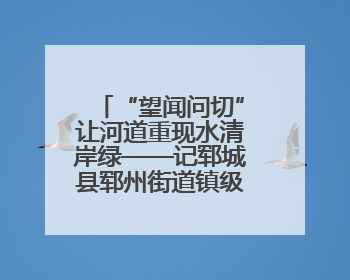 “望闻问切”让河道重现水清岸绿——记郓城县郓州街道镇级河长孟泓辰