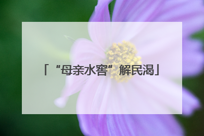 “母亲水窖”解民渴