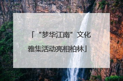 “梦华江南”文化雅集活动亮相柏林