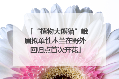 “植物大熊猫”峨眉拟单性木兰在野外回归点首次开花