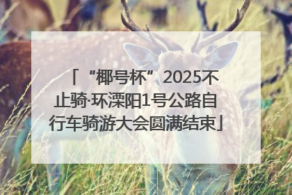 “椰号杯”2025不止骑·环溧阳1号公路自行车骑游大会圆满结束