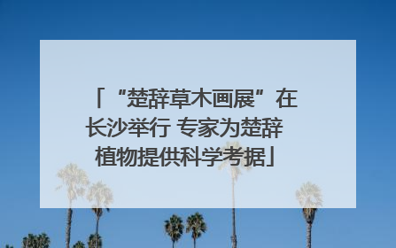 “楚辞草木画展”在长沙举行 专家为楚辞植物提供科学考据