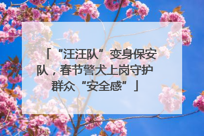 “汪汪队”变身保安队，春节警犬上岗守护群众“安全感”